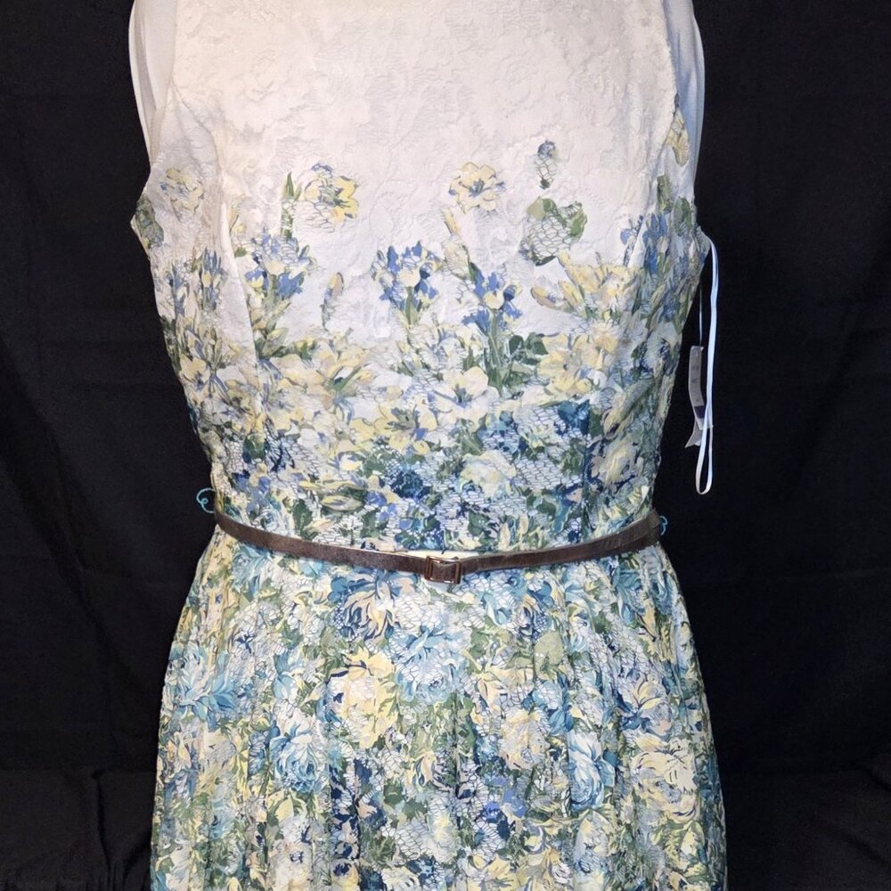 Danny & Nicole Dresses | Nwt Danny & Nicole Fit & Flare Sleeveless size 18